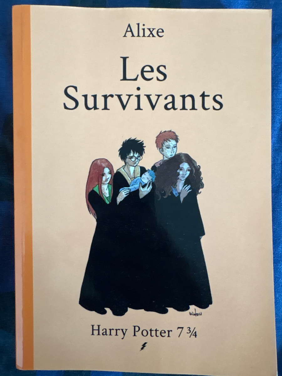 Cover of Les survivants