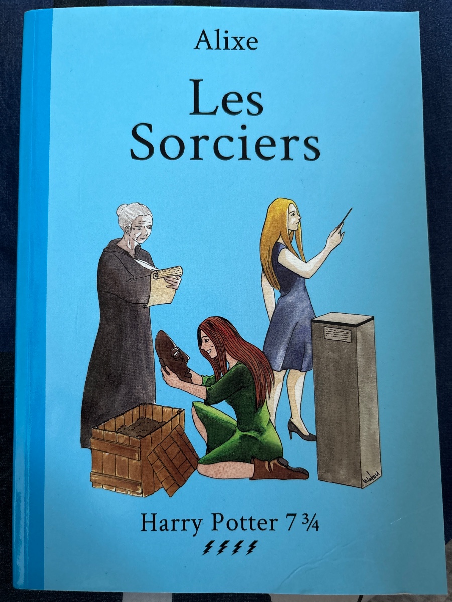 Cover of Les sorciers