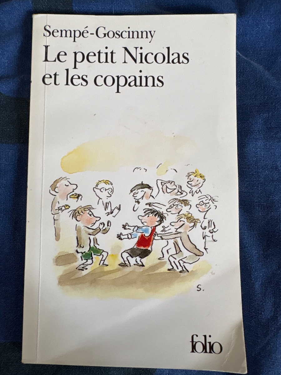 Cover of Le petit Nicolas et les copains