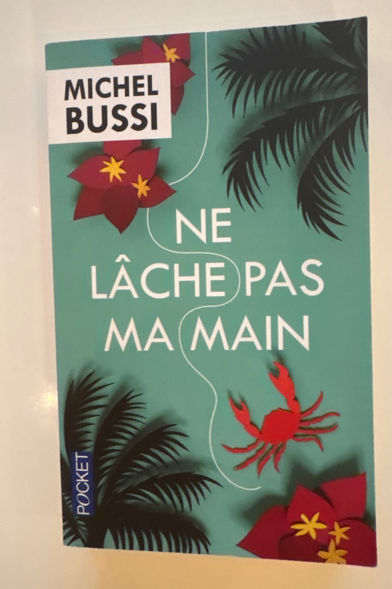 Cover of Ne lâche pas ma main